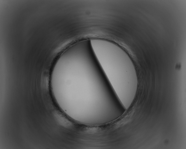 X0000101990446200807180829