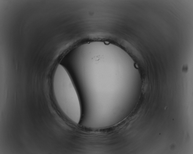 X0000101990448200807180829