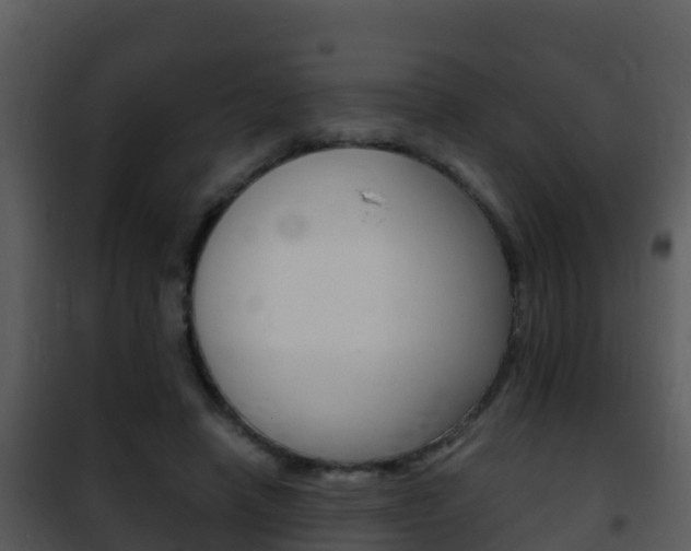 X0000101990450200807180829