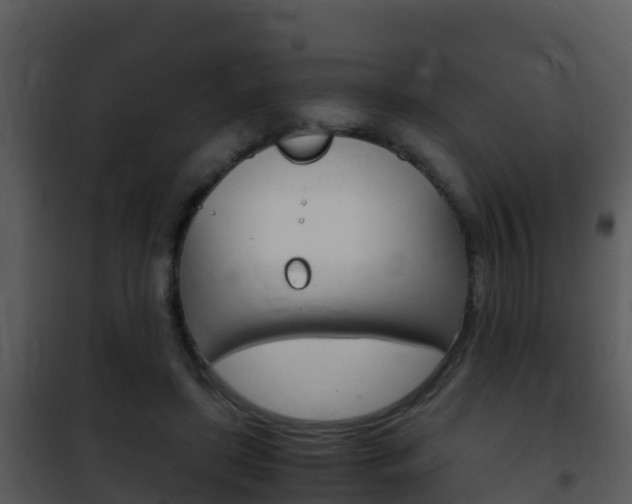 X0000101990451200807180829