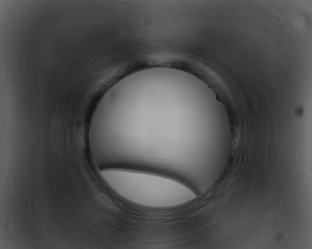 X0000101990452200807180829