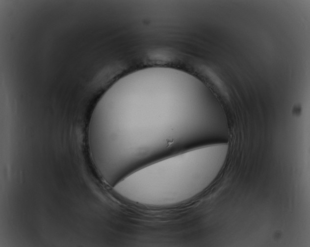 X0000101990455200807180829