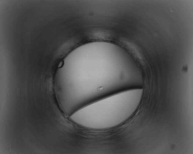 X0000101990457200807180829