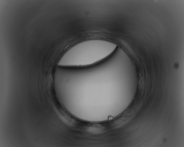 X0000101990459200807180829