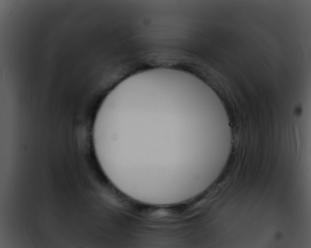 X0000101990460200807180829