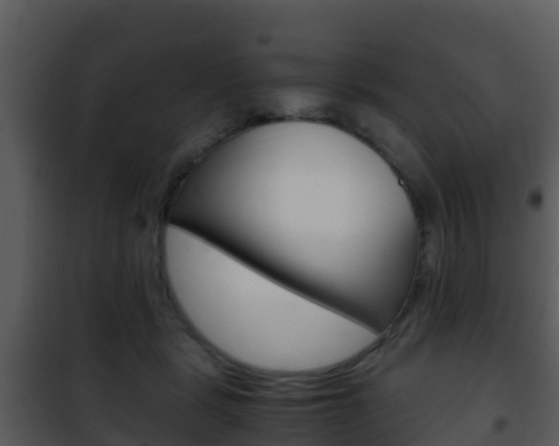 X0000101990461200807180829
