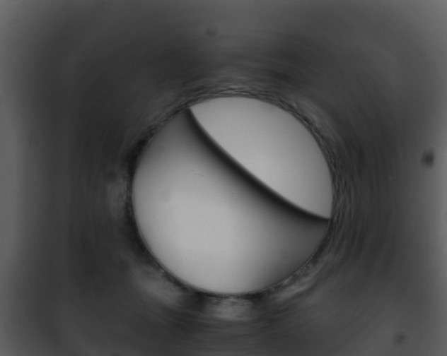 X0000101990463200807180829