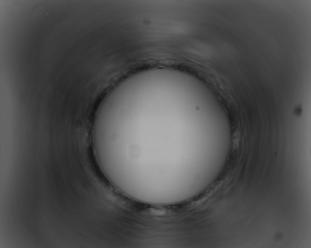 X0000101990464200807180829