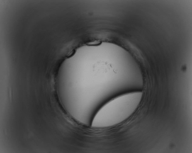 X0000101990465200807180829