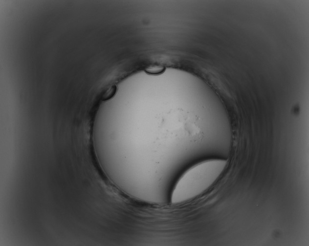 X0000101990466200807180829