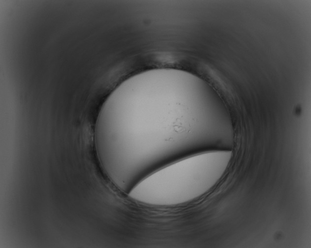 X0000101990467200807180829