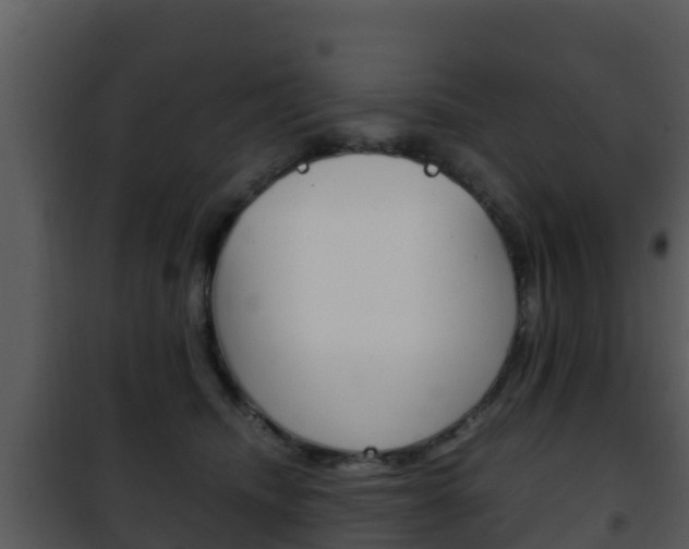 X0000101990468200807180829