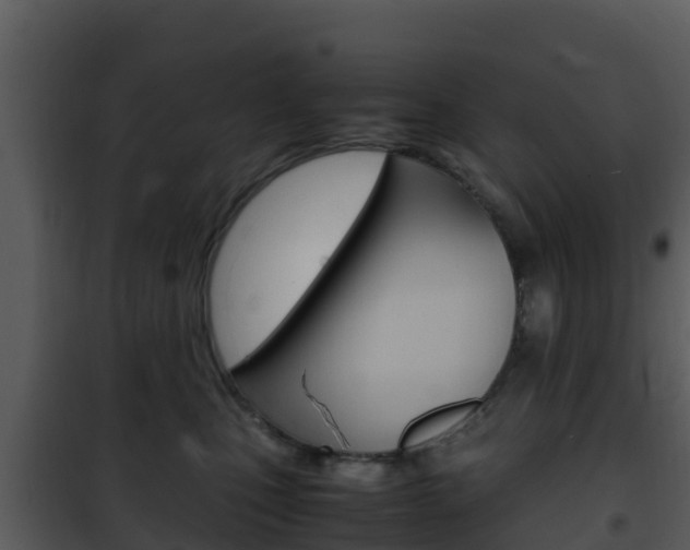 X0000101990471200807180829