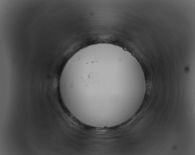 X0000101990472200807180829