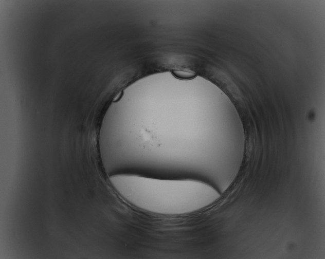 X0000101990473200807180829