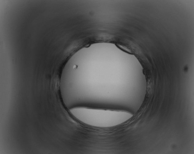 X0000101990474200807180829