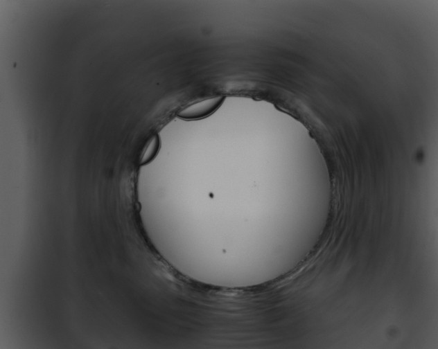 X0000101990475200807180829