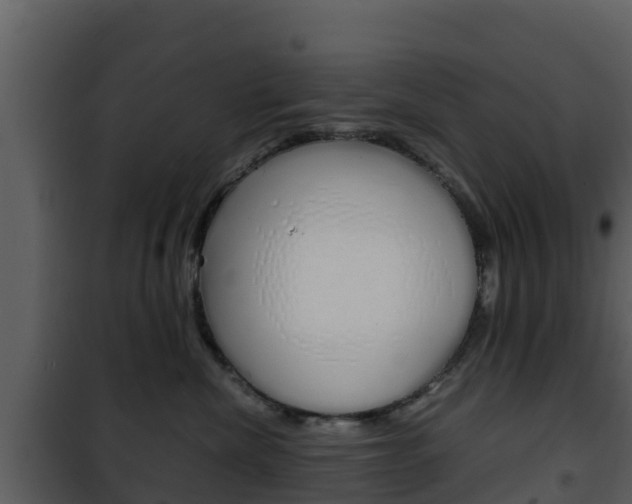 X0000101990476200807180829