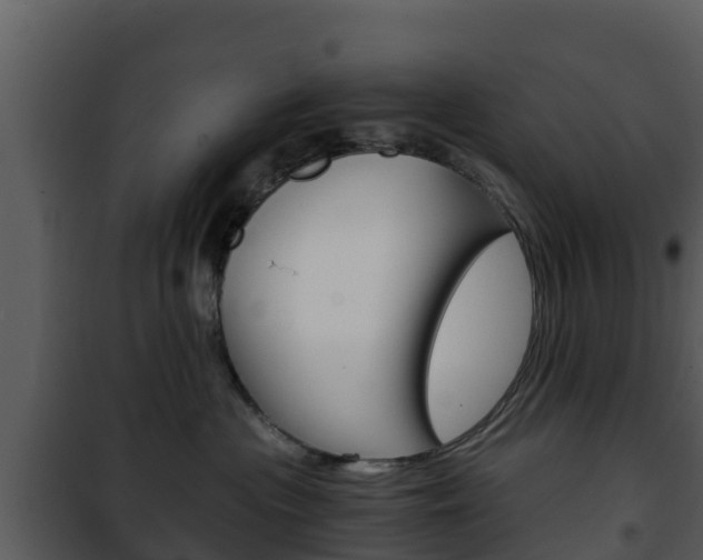 X0000101990477200807180829