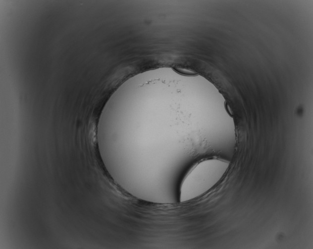 X0000101990479200807180829