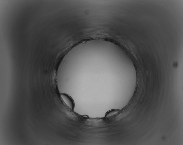 X0000101990480200807180829