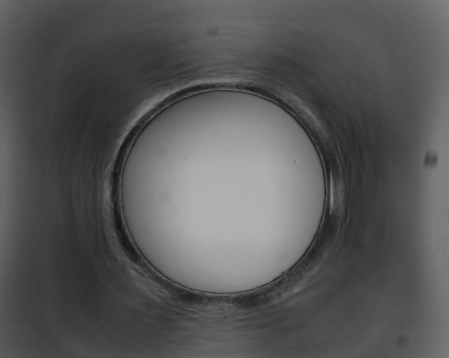 X0000101990483200807180828