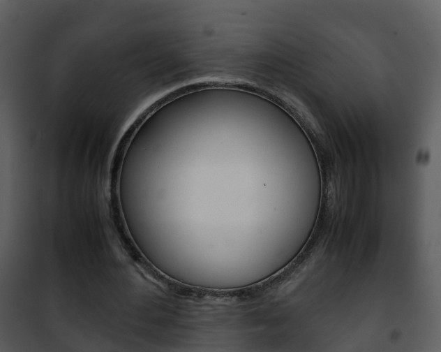 X0000101990484200807180828
