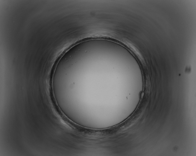 X0000101990485200807180828