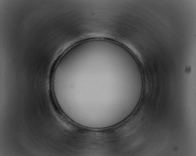 X0000101990486200807180828