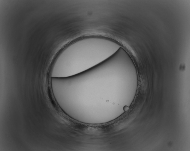 X0000101990487200807180828