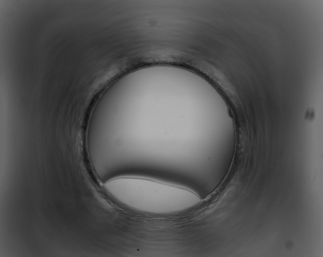 X0000101990489200807180828