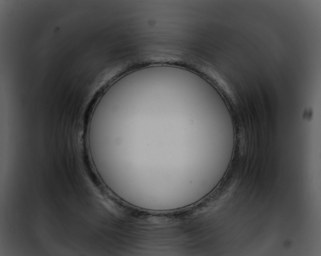 X0000101990490200807180828