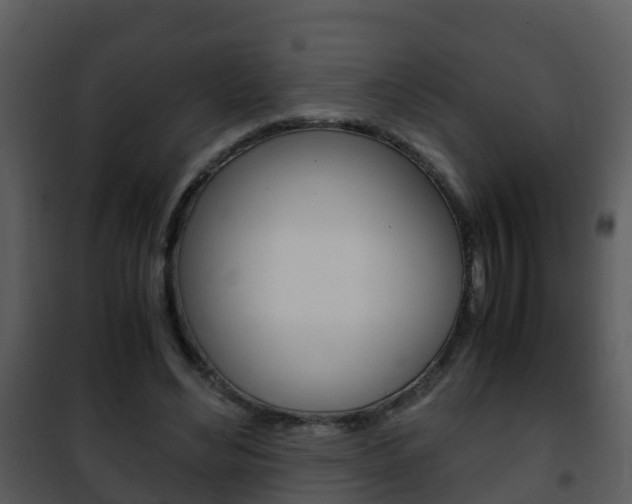 X0000101990492200807180828