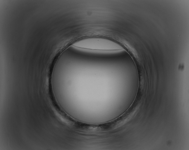X0000101990493200807180828