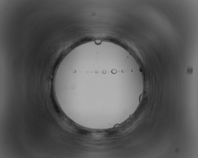 X0000101990495200807180828