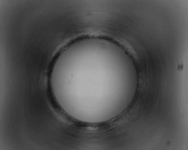 X0000101990496200807180828