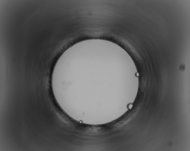 X0000101990497200807180828