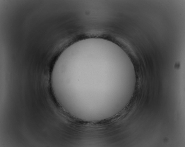 X0000101990498200807180828