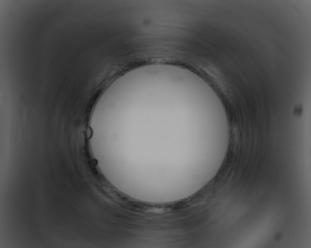 X0000101990499200807180828