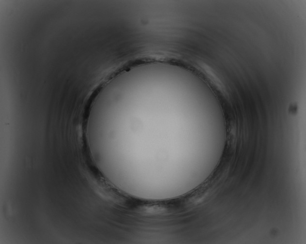X0000101990500200807180828