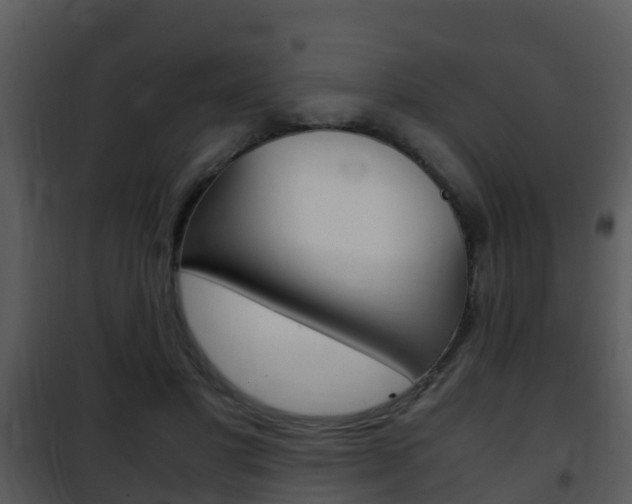 X0000101990501200807180828