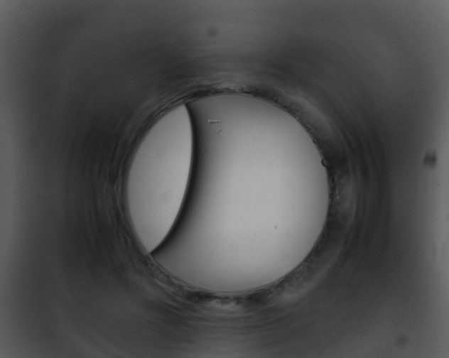 X0000101990502200807180828