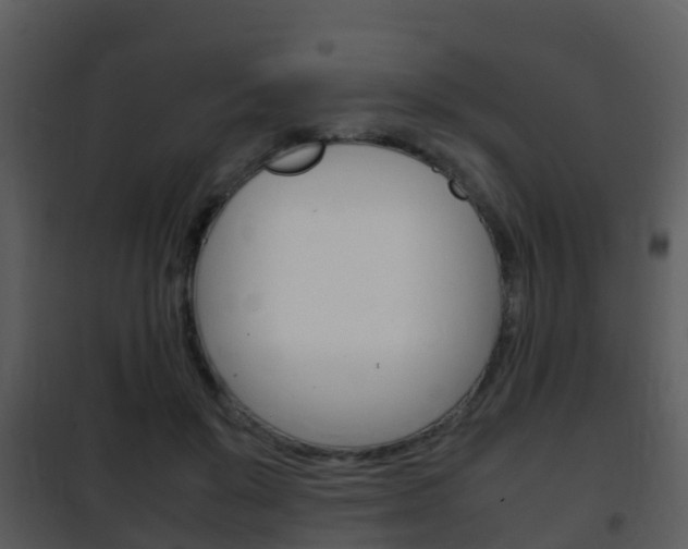 X0000101990503200807180828