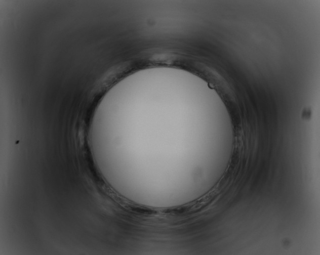 X0000101990504200807180828
