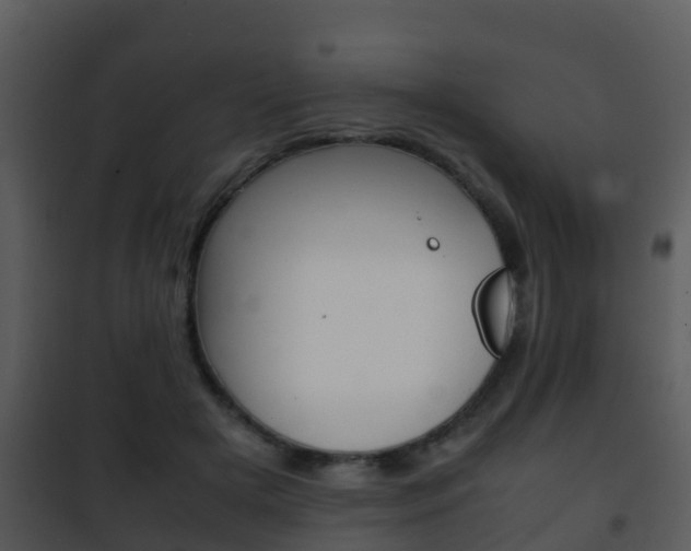 X0000101990505200807180828