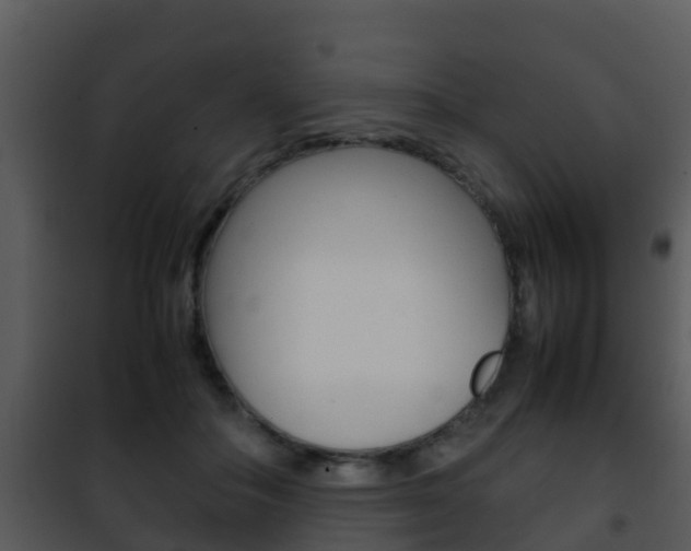 X0000101990506200807180828