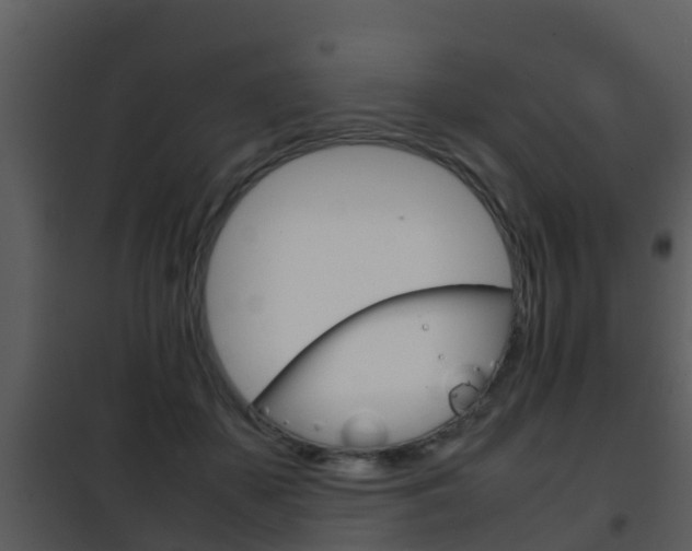 X0000101990507200807180828