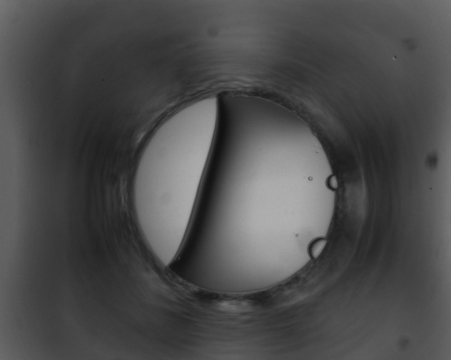 X0000101990508200807180828