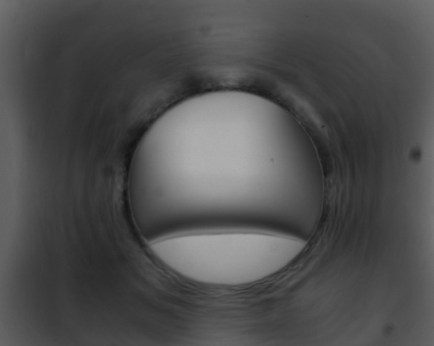 X0000101990509200807180828