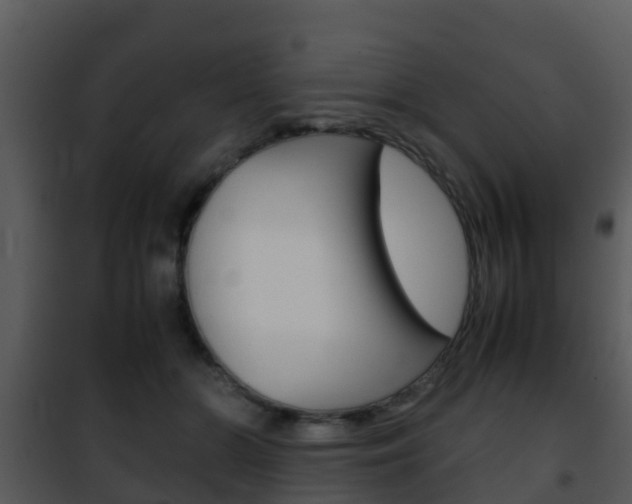 X0000101990510200807180828